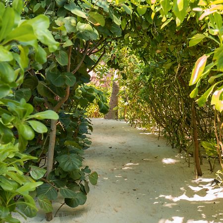 Tago Tulum By G Hotels Esterno foto