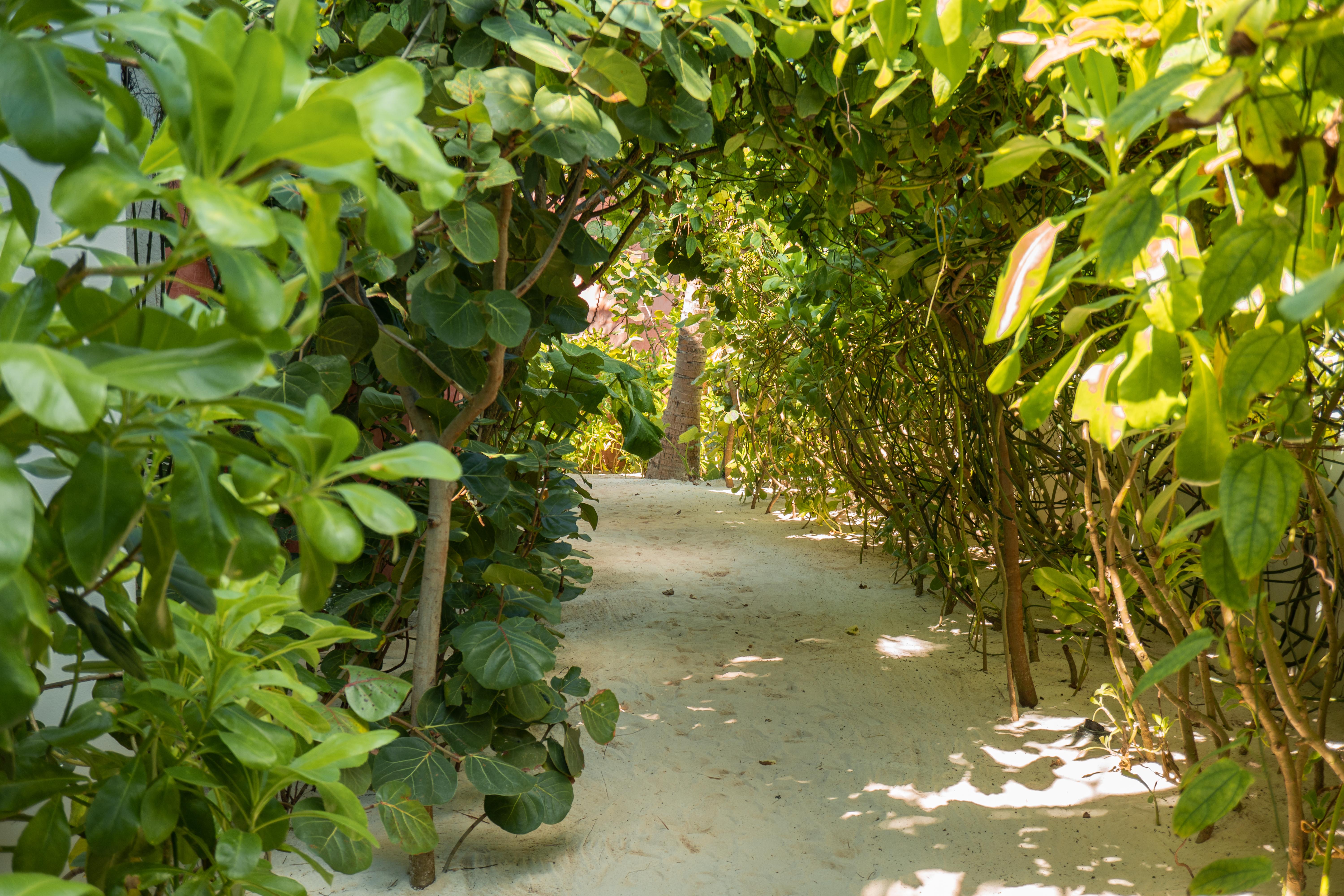 Tago Tulum By G Hotels Esterno foto