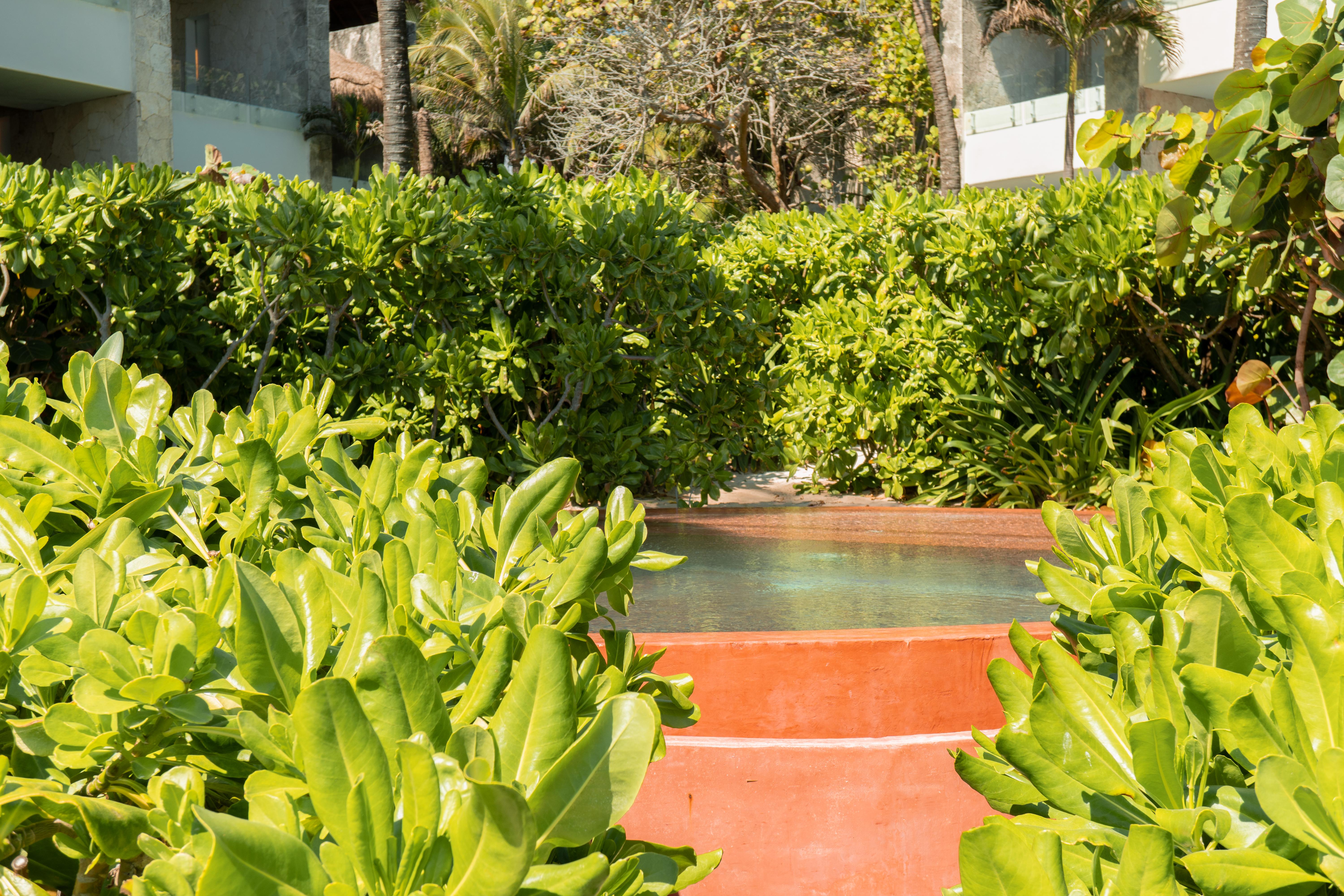 Tago Tulum By G Hotels Esterno foto